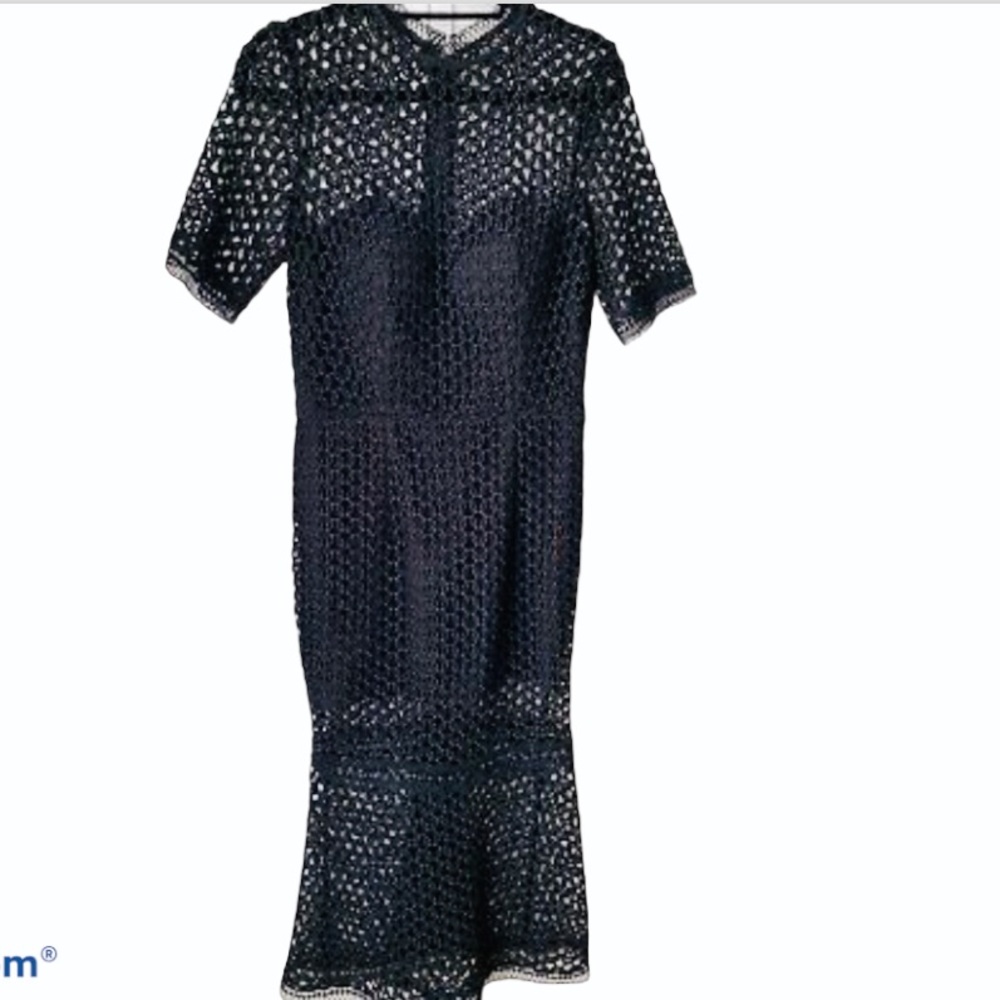Jarlo Tall Cutwork Lace Overlay Midi Dress - Picture 10 of 11